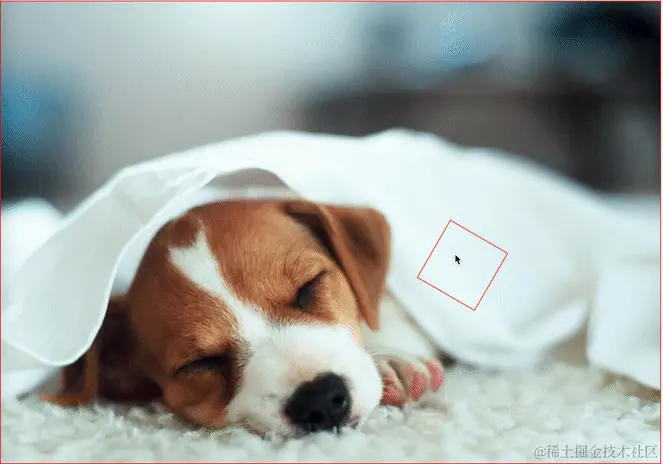 8.gif