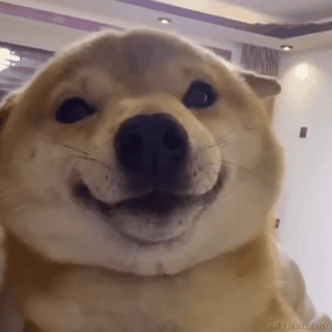 wzz不想写代码于2021-12-02 21:50发布的图片