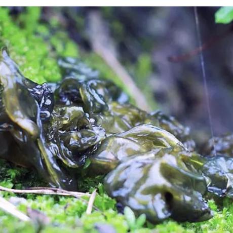 哈喽卧德于2023-08-31 09:05发布的图片