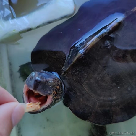 猛猛学习于2023-05-17 10:28发布的图片