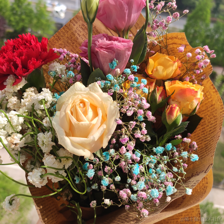 月球背面于2023-06-09 14:17发布的图片