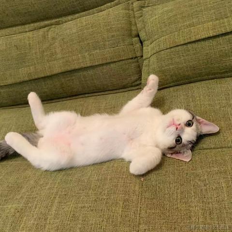 若拉于2021-01-14 14:59发布的图片