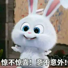 惊不惊喜 意不意外.jpg