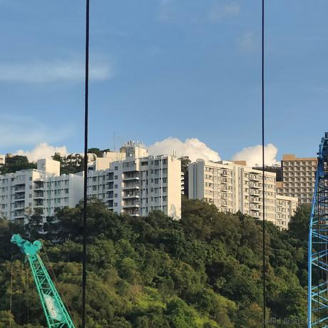 枝江最甜草莓嘉心棉花糖于2023-06-21 18:32发布的图片