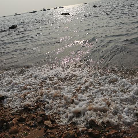 还有头发的萝卜头于2022-10-22 18:57发布的图片