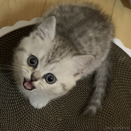 已注销于2021-10-27 21:13发布的图片