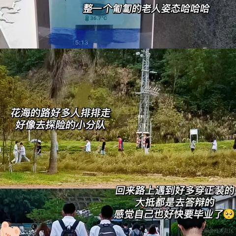 Raee于2023-05-10 19:09发布的图片