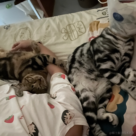 一颗小肉丸儿于2023-04-25 08:07发布的图片