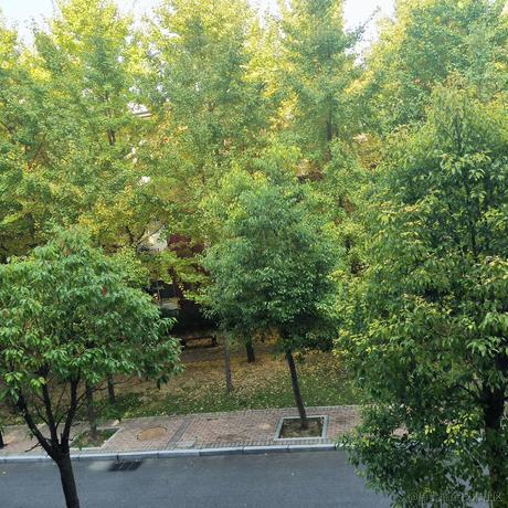 蓝莓南瓜派于2022-11-16 01:08发布的图片