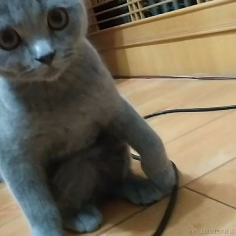 月球背面于2023-05-14 14:45发布的图片