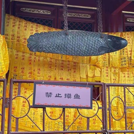 爱吃荆芥于2021-03-23 16:23发布的图片