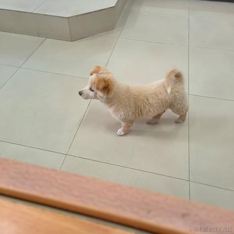 燃啊于2023-04-14 19:55发布的图片