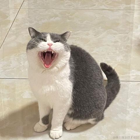 不能没有番茄酱于2023-04-19 23:23发布的图片