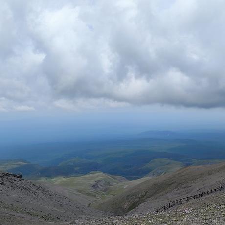 琳琳0905于2023-08-05 15:52发布的图片