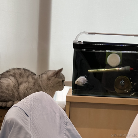 晚比大魔王于2022-11-17 09:22发布的图片