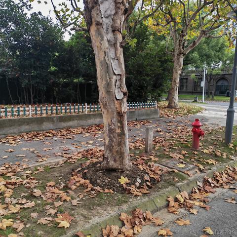 墨璃人于2022-11-27 20:30发布的图片