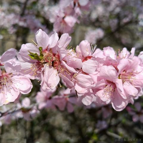 正兴于2023-05-05 07:53发布的图片