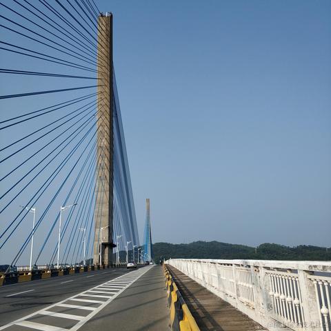 树桐robot于2020-10-06 14:48发布的图片