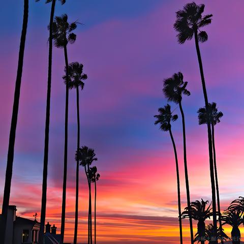 不挨揍的犊子于2023-08-22 10:55发布的图片