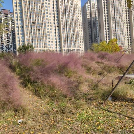 关注乃琳嘎关注乃琳谢谢嘎于2022-11-16 14:26发布的图片