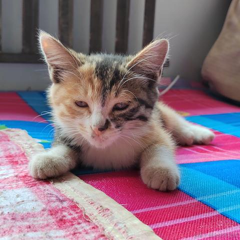 薄岁于2023-07-05 08:04发布的图片