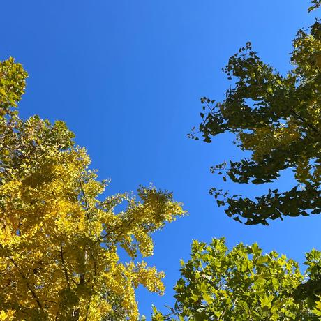 koupou于2022-09-13 15:08发布的图片