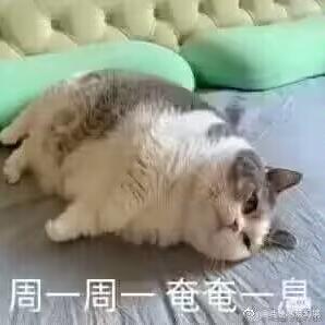 Darkgreen于2023-04-17 08:37发布的图片