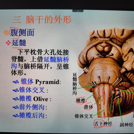 迂回418于2022-12-08 09:51发布的图片