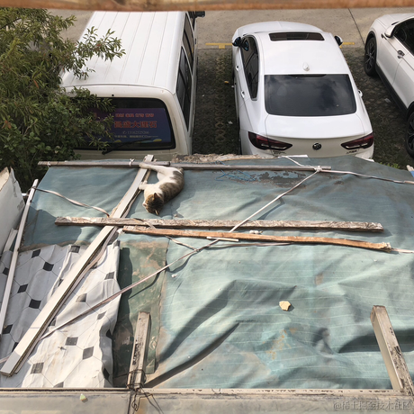 chst365于2022-10-07 18:20发布的图片