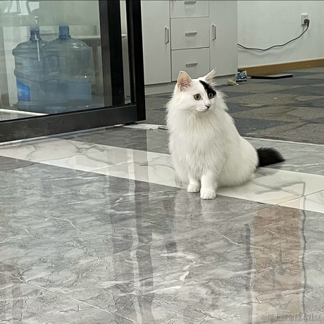 困了能睡觉吗于2023-05-18 22:37发布的图片