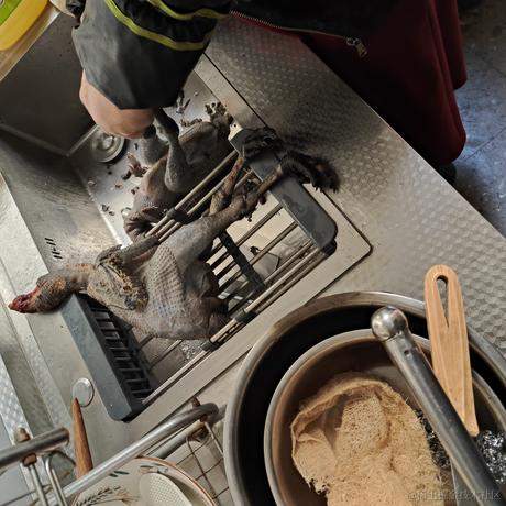 general同志41383于2023-01-18 10:55发布的图片