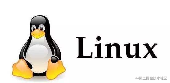 Linux专栏