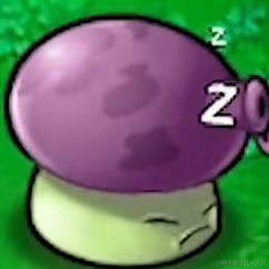 一如彷徨于2023-10-18 09:22发布的图片