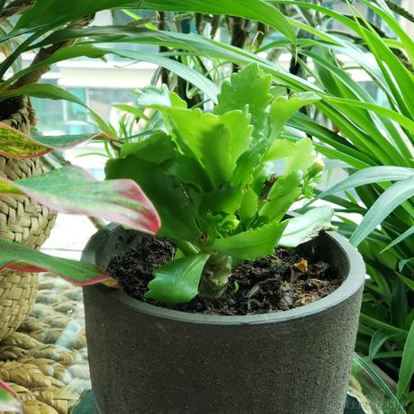 晚子不可以于2022-11-26 15:22发布的图片