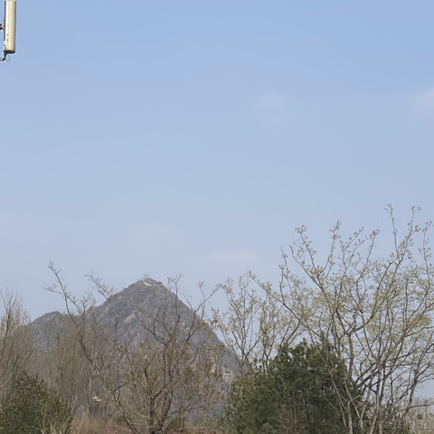 库洛米于2023-03-19 22:32发布的图片