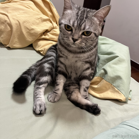 dy123于2023-05-26 09:42发布的图片