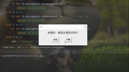 表白.gif