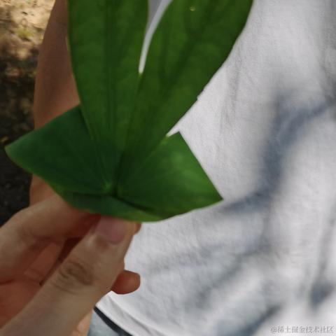 Wei于2022-11-09 23:56发布的图片