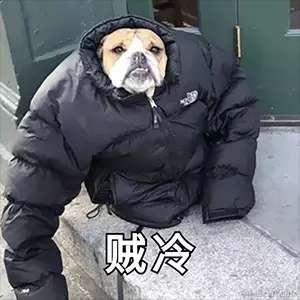 _韭_菜_炒_鸡_蛋于2020-10-05 10:23发布的图片