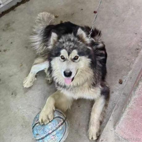 马亮南生于2023-07-22 16:21发布的图片