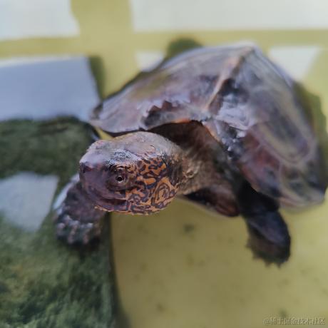 猛猛学习于2023-05-12 17:22发布的图片