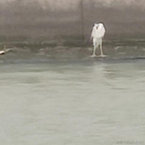 bysking于2023-06-20 08:18发布的图片