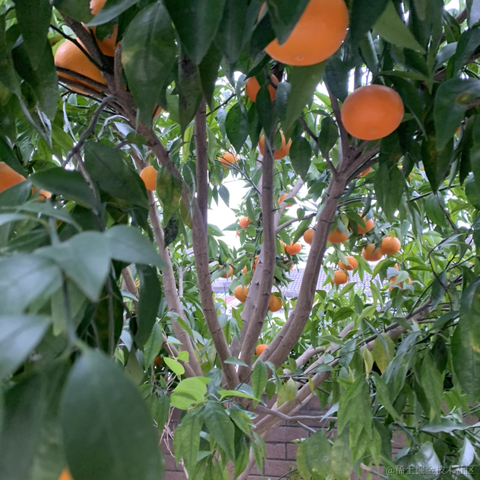 前端咸鱼2于2023-01-18 17:04发布的图片