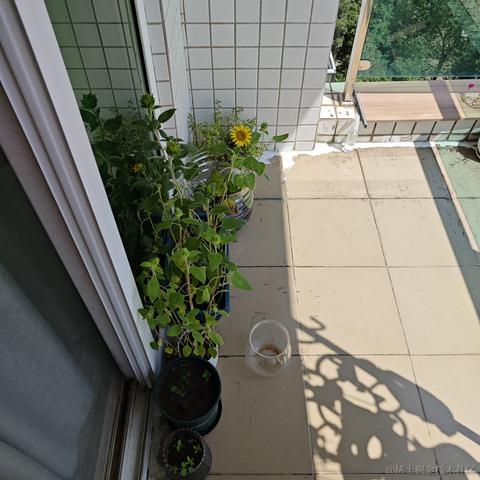 跑来跑去可没有打人爽于2023-09-27 13:27发布的图片