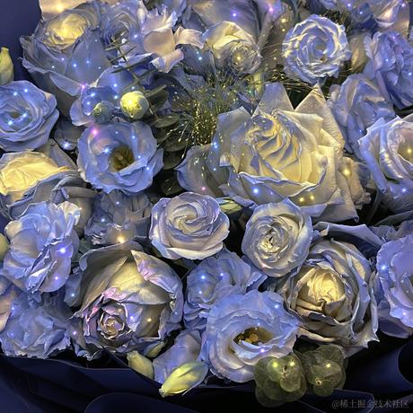 嘉晚奶贝的心怒于2022-12-13 22:39发布的图片