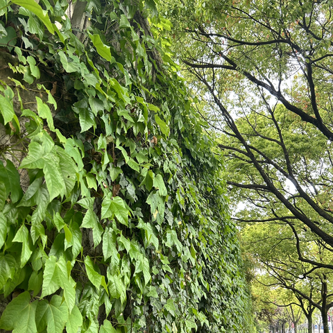 糖醋快乐水于2023-05-12 15:02发布的图片