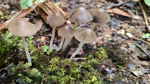 我的前端学习之路