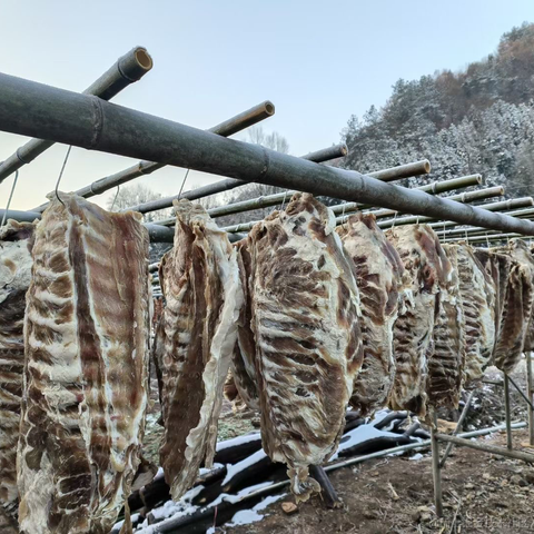 亦陈于2023-01-19 08:52发布的图片