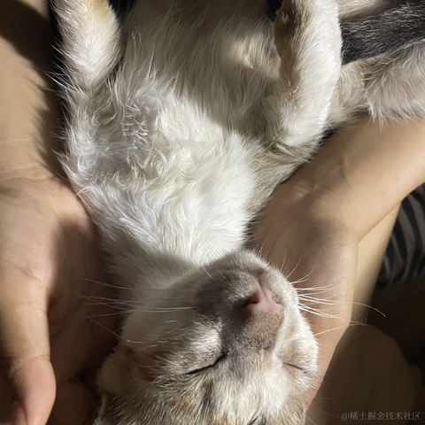 makedown只能秀于2023-07-15 10:40发布的图片