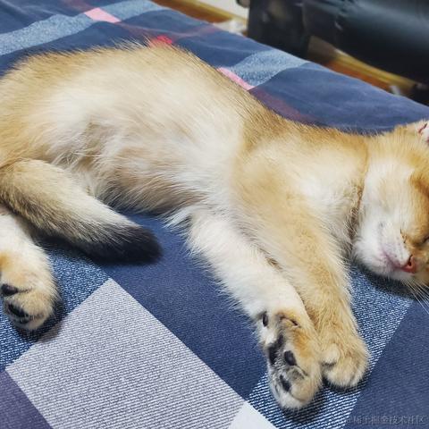 将军山最速下山传说于2020-11-09 19:55发布的图片